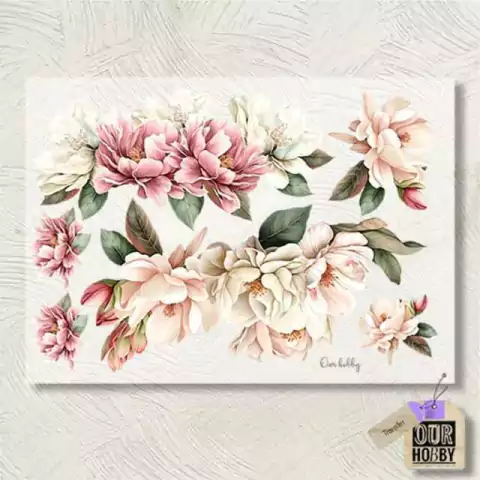 Transfer COLOR A4 COD 067