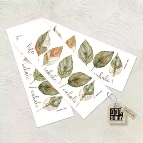 TRANSFER UV 019 x unidad