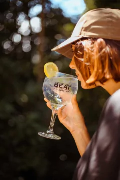 Gin Beat x 750 cc - comprar online