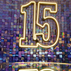 15 NEON led 50cm