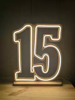 15 NEON led 35cm - comprar online