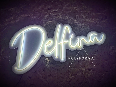 COMBO nombre 25x60 + 15 50cm NEON