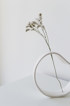 FLORERO GAMA en internet