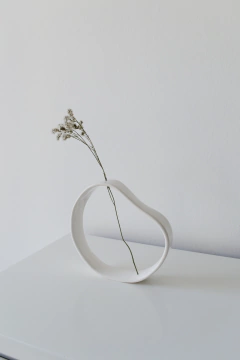 FLORERO GAMA en internet