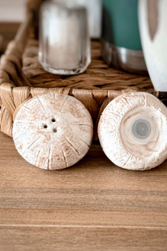 SET SALERO/PIMENTER0 ZAPALLITO - BECK HOUSE