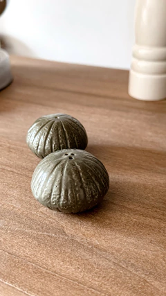 SET SALERO/PIMENTER0 ZAPALLITO en internet