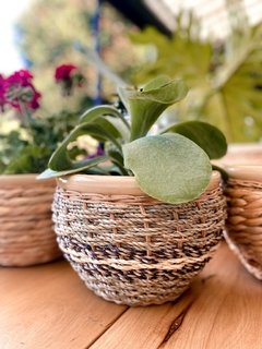 PORTAMACETAS RATTAN - comprar online