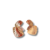 Brinco shell gold - loja online