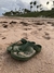 ELI VERDE MILITAR - comprar online