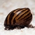 Caracol Neritina Zebra/Tigre - Aqua Bahia