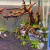 Kit acuario plantado