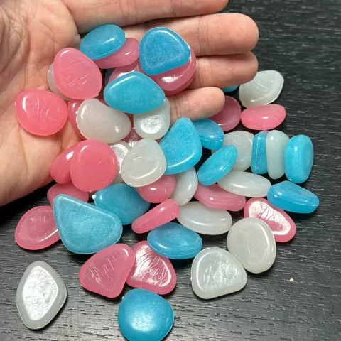 Caracoles brillantes