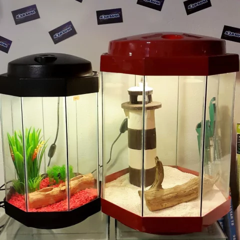 Acuario Octogonal + Base + Tapa