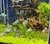 Aquaforest Lava Soil 5 lt Sustrato para acuarios plantados en internet
