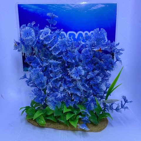 Jardin de plantas azul SC-77
