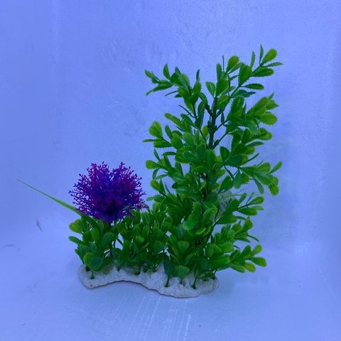 Jardin 20cm