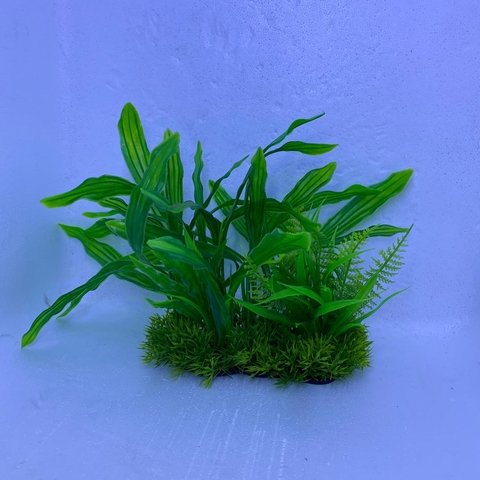 Jungla verde