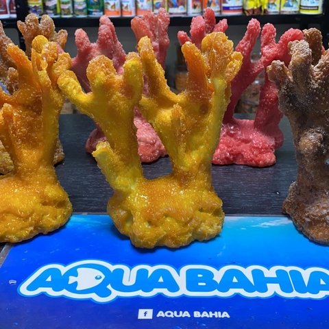 Cora ramificado resina Mediano