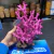 Coral resina rosa grande 77701