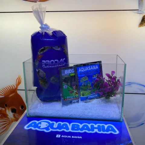 Kit Bettera Mini (ver tamanos)