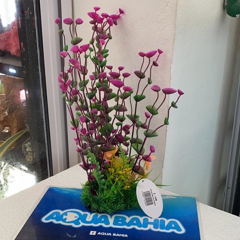 Planta alta 35cm altura FUXIA Y VERDE Z 1405