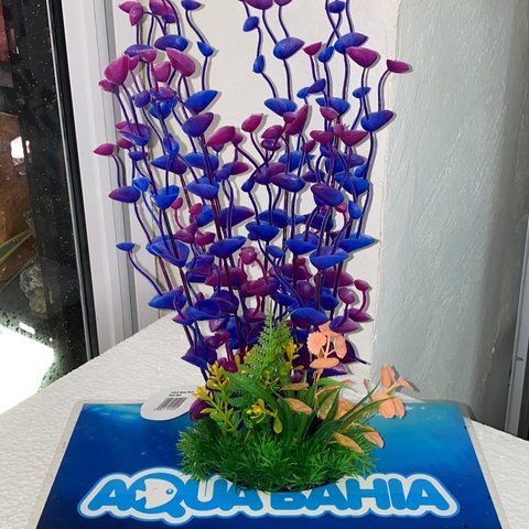 Planta alta 35cm altura VIOLETA