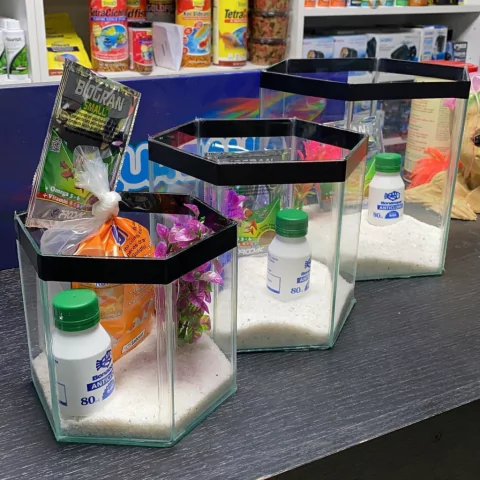 Kit Hexagonal Bettera Mini (ver tamanos)