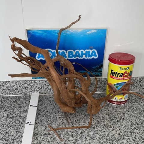 Raiz de Azalea natural N7 - comprar online