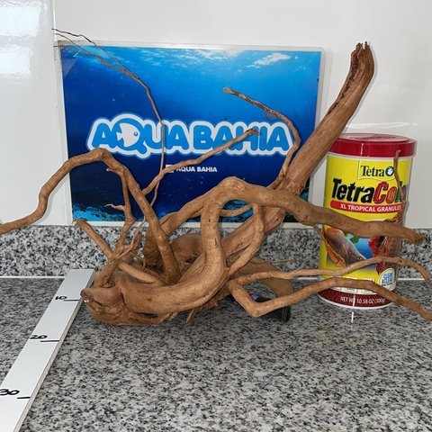 Raiz de Azalea natural N8 - comprar online