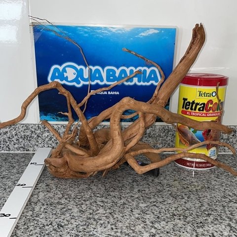 Raiz de Azalea natural N9