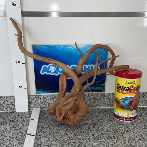 Raiz de Azalea natural N11 en internet