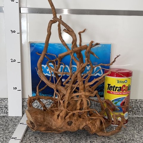 Raiz de Azalea natural N17 - comprar online