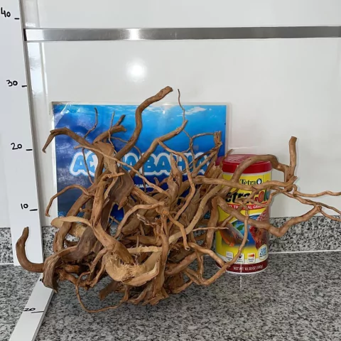 Raiz de Azalea natural N18 - comprar online