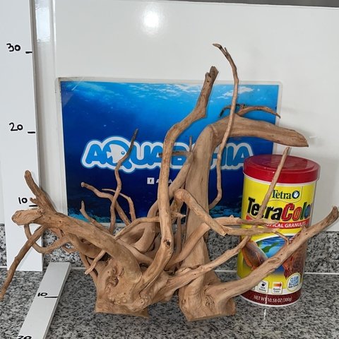 Raiz de Azalea natural N21 - comprar online