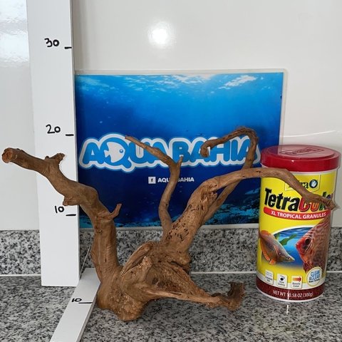 Raiz de Azalea natural N22 - comprar online