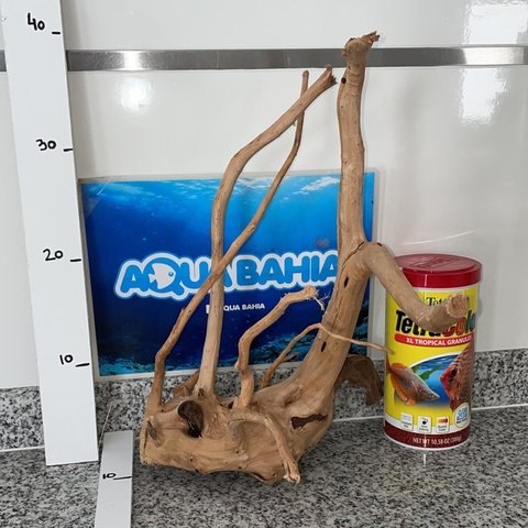 Raiz de Azalea natural N24 - comprar online