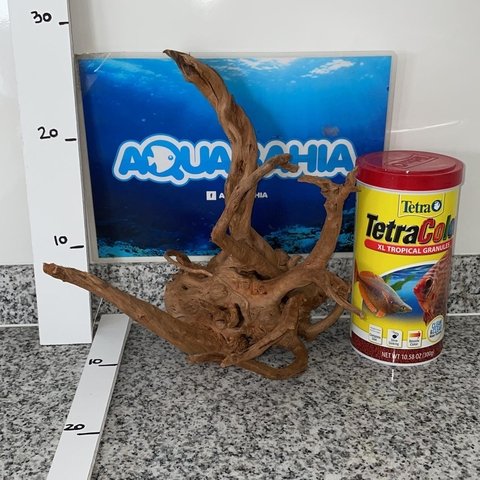 Raiz de Azalea natural N26