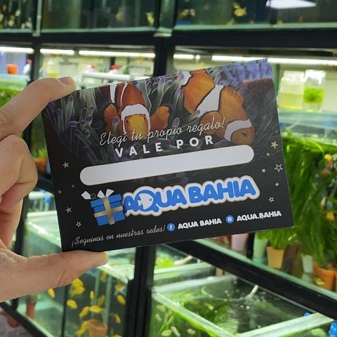 Gift Card $2000
