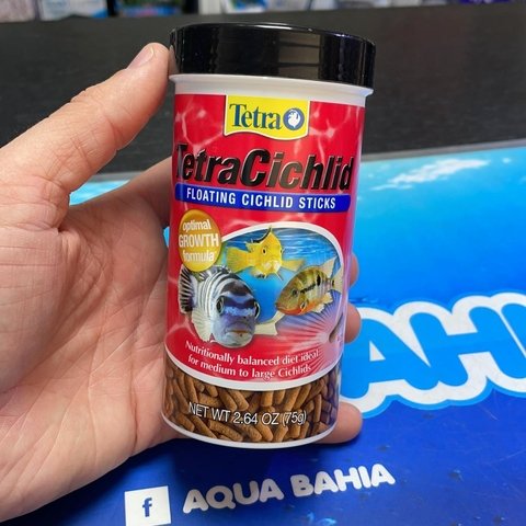 Tetra Cichlid