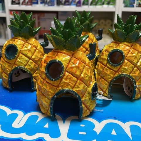 Casa bob esponja resina