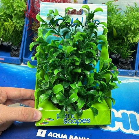 Planta fluval 1643