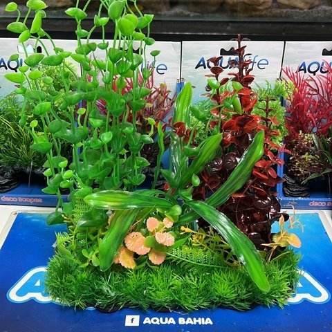 Junga plantas 30cm L13-2