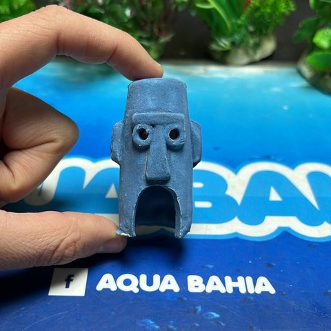 Mini Casita Calamardo