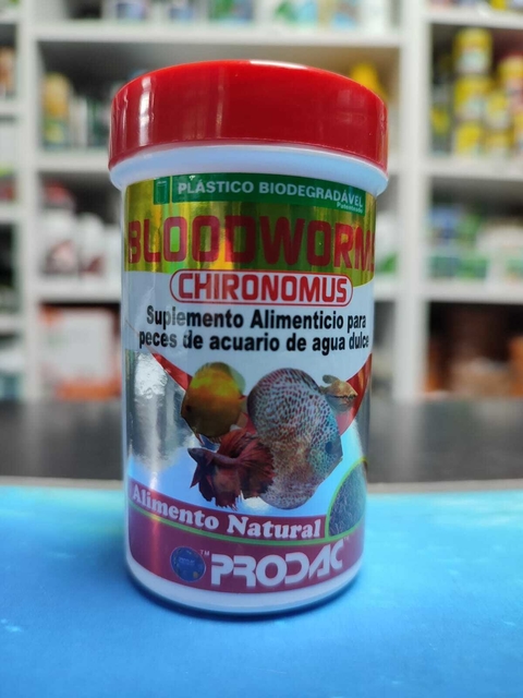 Bloodworms Larvas Rojas