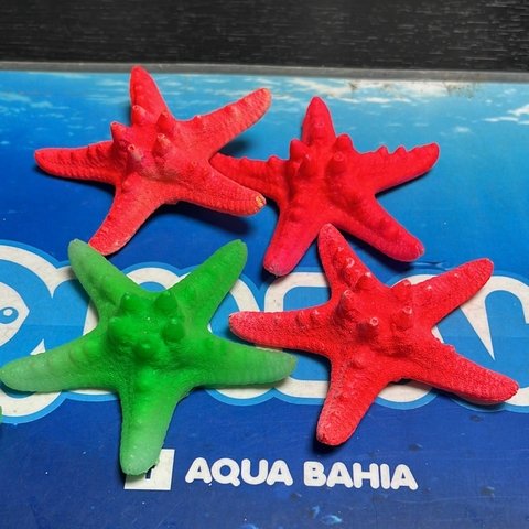 Estrellas de mar resina - comprar online