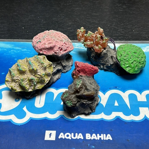 Coral artesanal chico