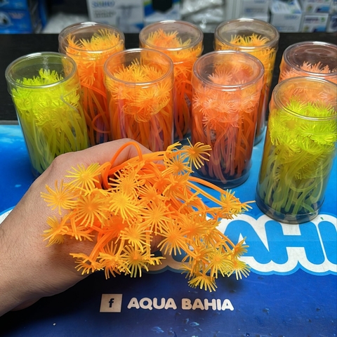 Coral silicona SH 188