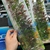 Planta 50cm Penn Plax P12RSUH - comprar online
