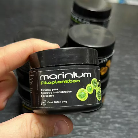 Marinium Fitoplancton