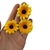 APLIQUE GIRASSOL TECIDO (3CM) - 3 UNIDADES - comprar online